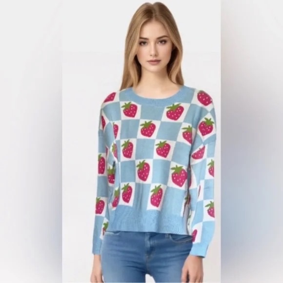 Anthropologie Luna Ivy Strawberry Blue White Checkered Sweater Size Large - Picture 2 of 13